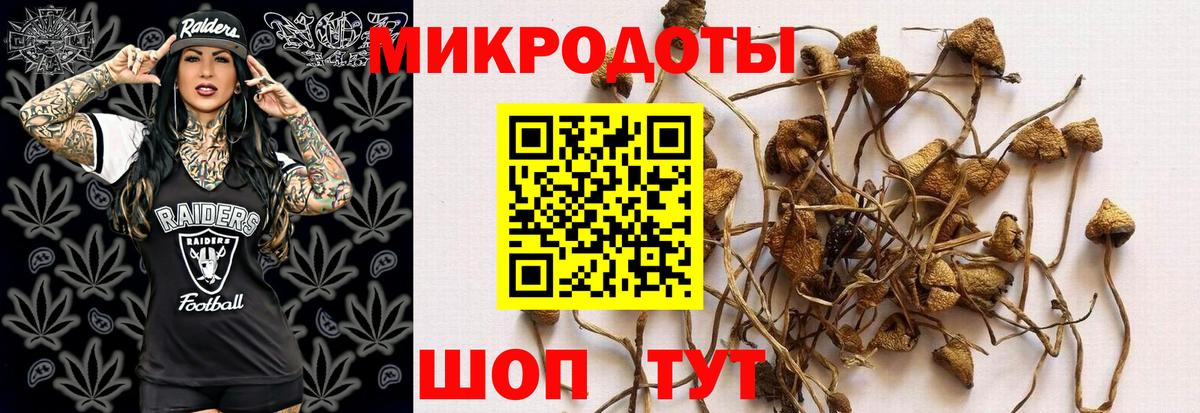 Галлюциногенные грибы ЛСД  сколько стоит  Луга  Галлюциногенные грибы мухоморы  Вход с VPN 